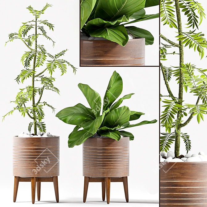 78 Piece Plant Set: Beautiful and Functional 3D model image 2
