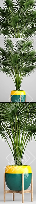 Tropical Vibes: Palm Tree 2 3D model image 2