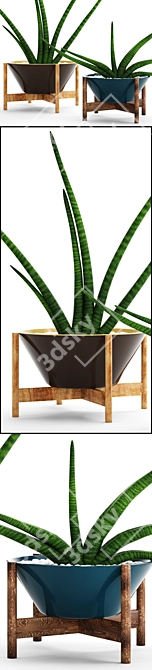  Green Oasis: 64 Sansevieria Collection 3D model image 2