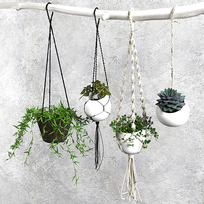 Green Oasis: Decorative Plant Set 3D model image 1