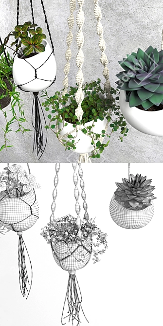 Green Oasis: Decorative Plant Set 3D model image 2