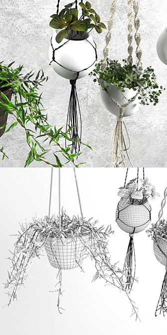 Green Oasis: Decorative Plant Set 3D model image 3