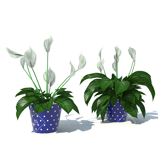 Tropical Peace Lily 3D model image 1