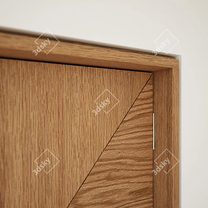 Elegant Modern Door 3D model image 2