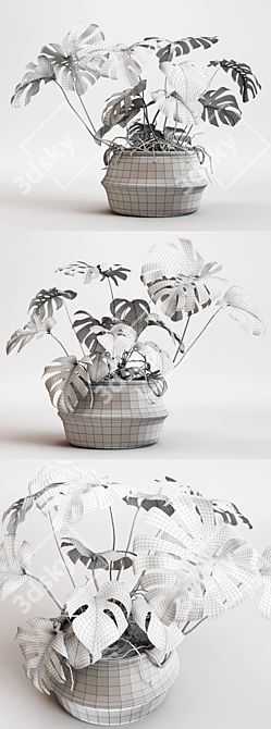 Monstera 2013: Modern, Versatile, Stunning 3D model image 3