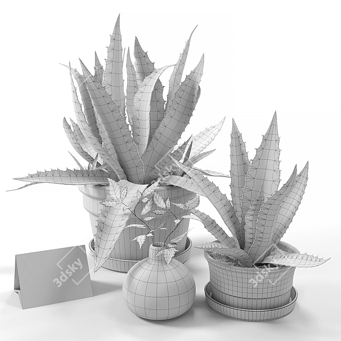  Agave Deluxe Home Decor Set 3D model image 2