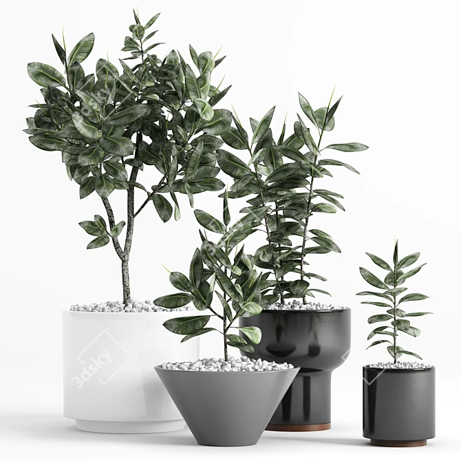 Modernica Ceramic Ficus Planters 3D model image 1