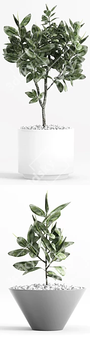 Modernica Ceramic Ficus Planters 3D model image 2