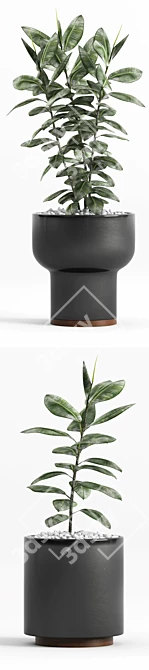 Modernica Ceramic Ficus Planters 3D model image 3
