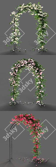 Multifunctional Metal Rose Arch 3D model image 2