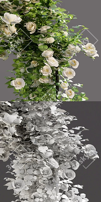 Multifunctional Metal Rose Arch 3D model image 3