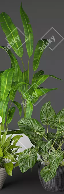 Modern Indoor Plant Collection 3D model image 2