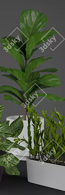 Modern Indoor Plant Collection 3D model image 3