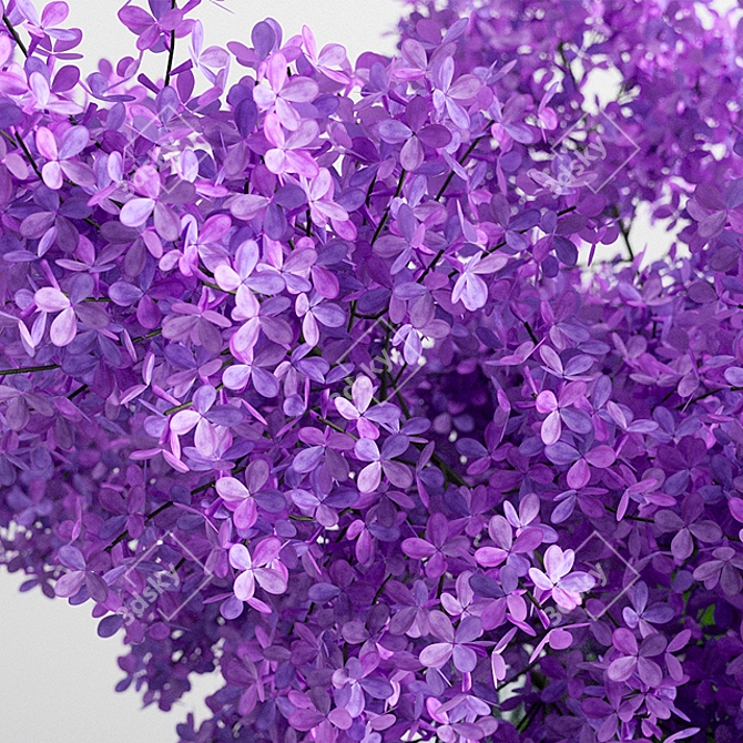 Lilac Jar Bloom 3D model image 2