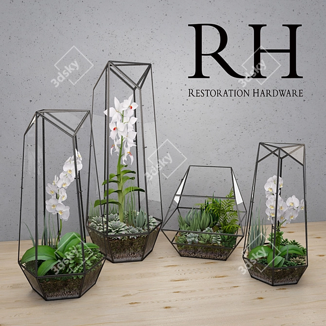 Elegant Glass Terrarium Set 3D model image 1