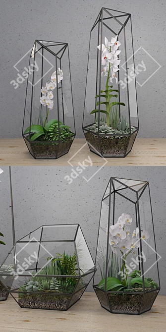 Elegant Glass Terrarium Set 3D model image 2