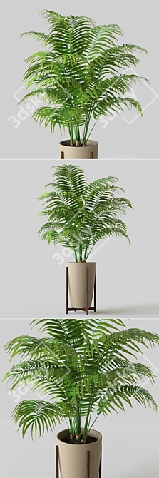 Tropical Palm: Green Elegance in Pot 3D model image 2