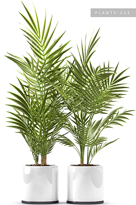 Botanical Bliss: PLANTS 123 3D model image 2