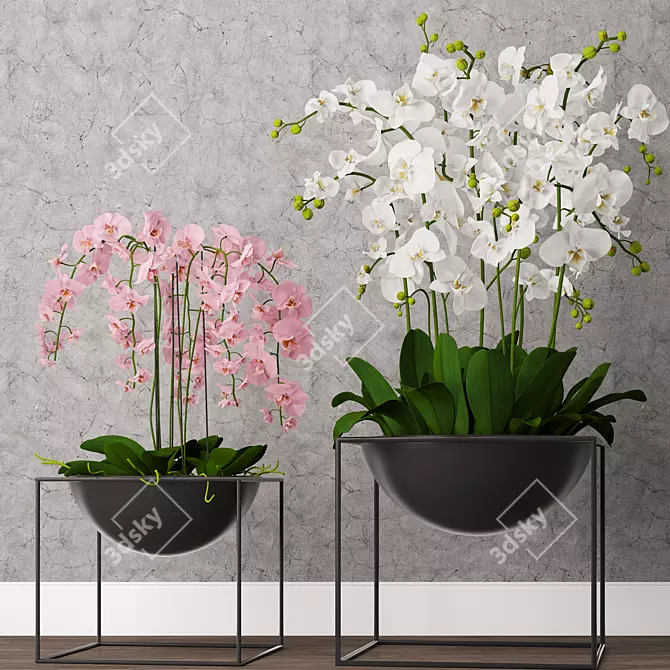 Exquisite Orchid Model - High-Quality 3D Max & OBJ Formats 3D model image 1