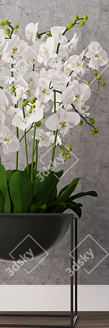Exquisite Orchid Model - High-Quality 3D Max & OBJ Formats 3D model image 3