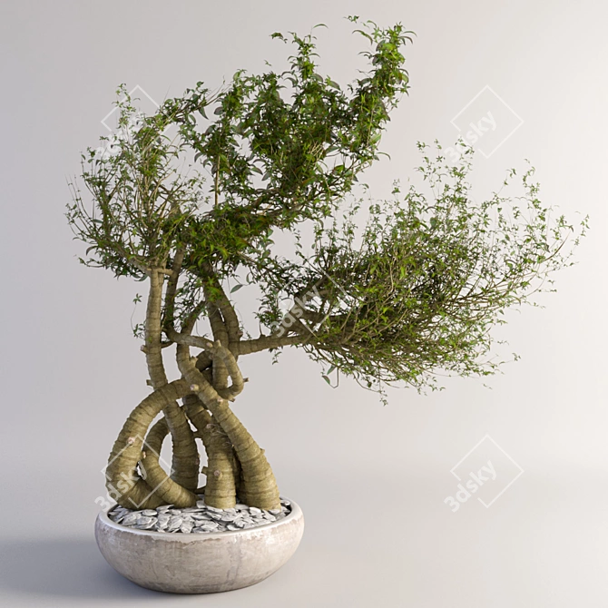 VRay-Ready Miniature Tree 3D model image 1