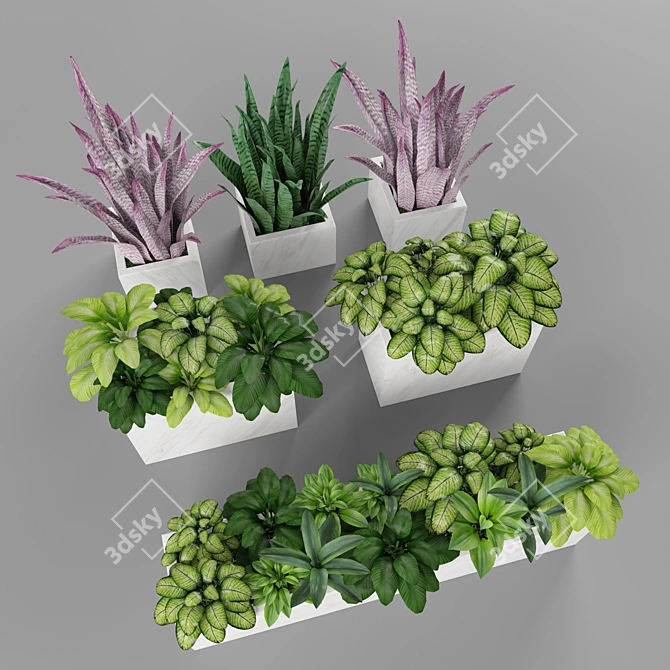 Green Oasis: Plant Collection 3D model image 2