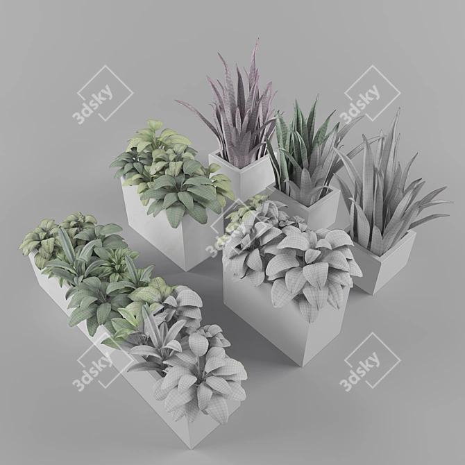 Green Oasis: Plant Collection 3D model image 3