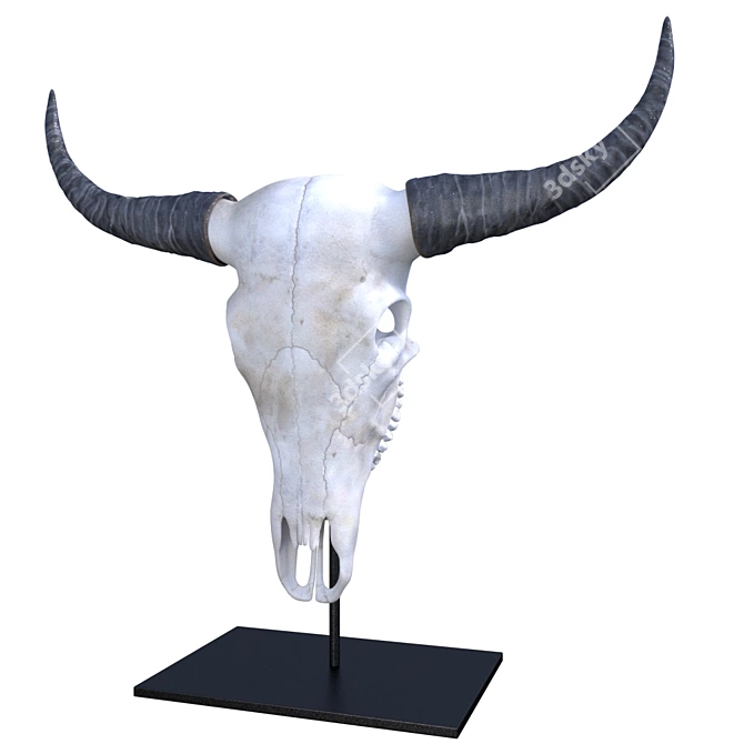 Ancient Bison Skull 3D model image 1