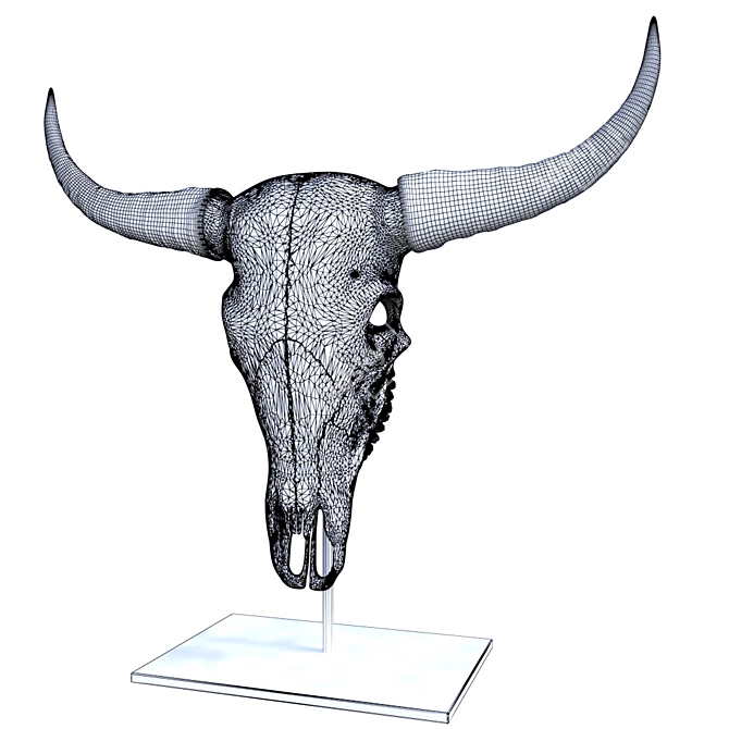 Ancient Bison Skull 3D model image 3