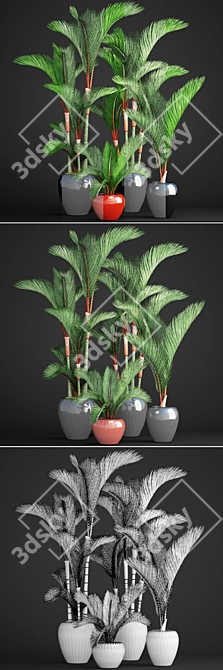 Tropical Plant Collection: Cyrtostachys 3D model image 3