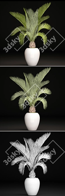 Tropical Elegance: White Pot Palm 3D model image 3