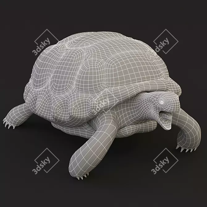 Smooth Turtle 3D Model 3D model image 3