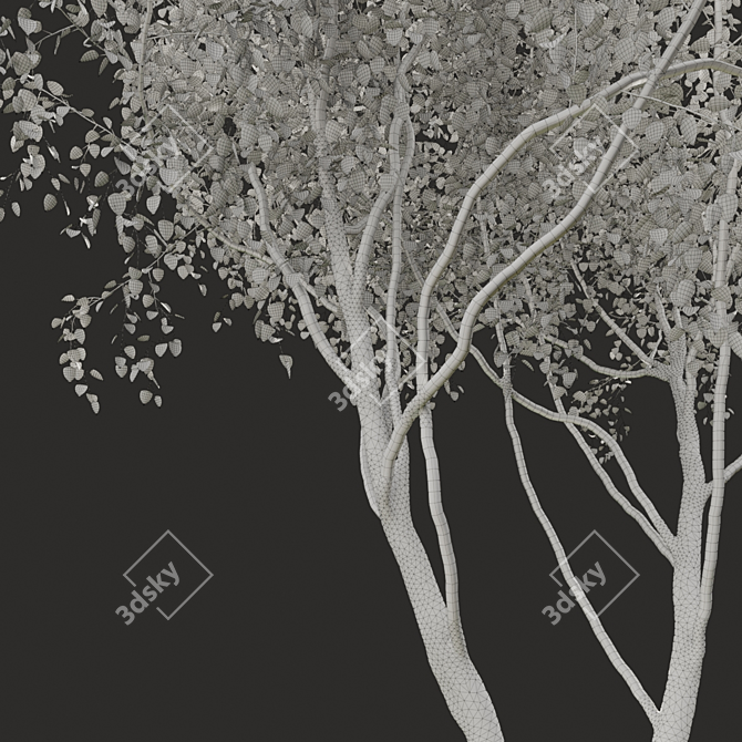 Summertime Tree Essence 3D model image 3