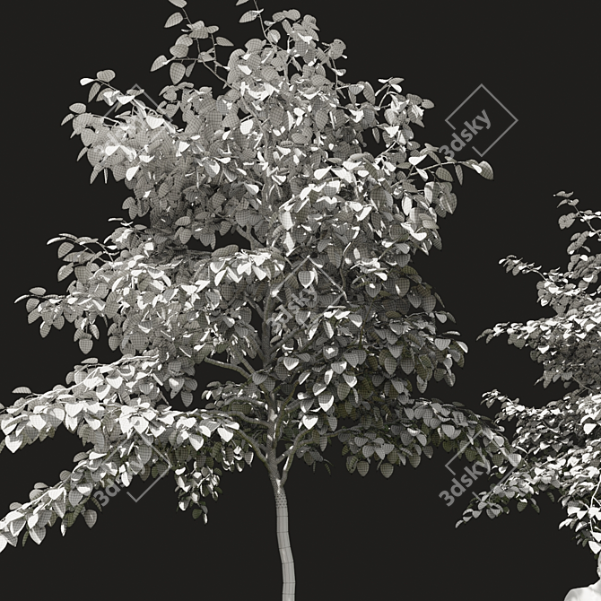 Green Summer Tree Models 3D model image 3