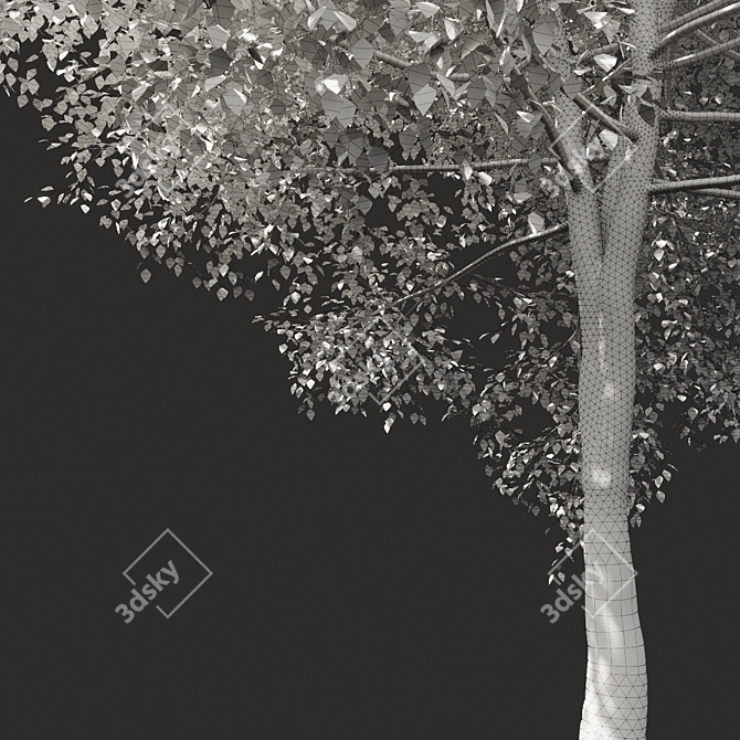 Optimized Tree Model for Summer 3D model image 3
