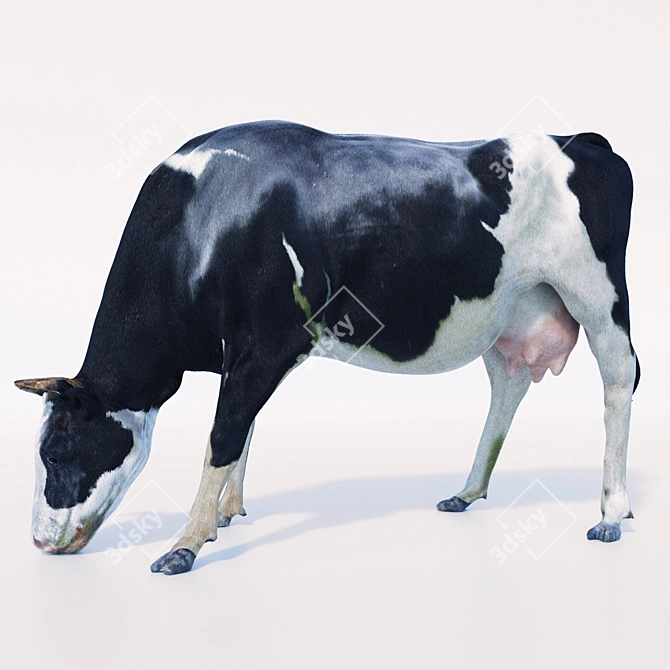 Meadow Grazing Cow 3D model image 1