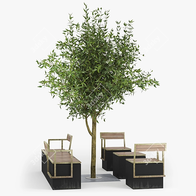 Exquisite Tree Park Bundle 3D model image 1