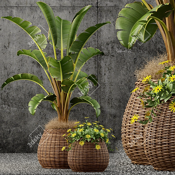 Lush Greenery: 55 Stunning Plants 3D model image 1