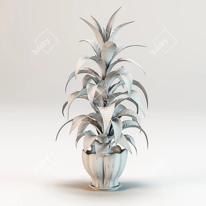 Fragrant Dracaena Plant in Pot 3D model image 3