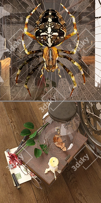 Loft Spider Decor Set 3D model image 2