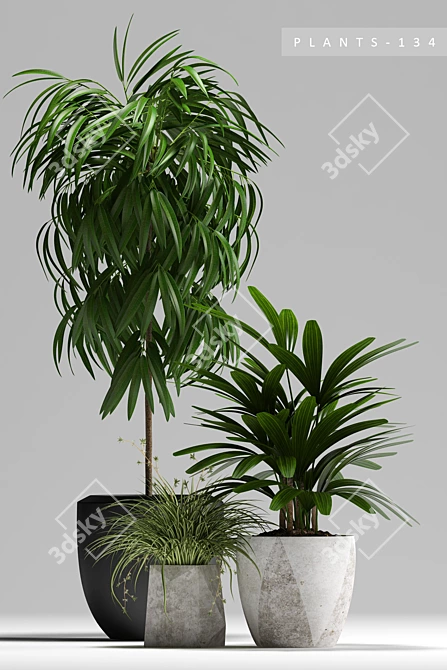 Lush Greenery Pack: PLANTS 134 3D model image 2