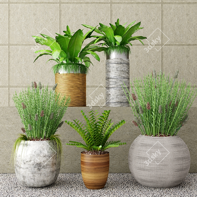 Botanical Bundle: Outdoor Plant Set 3D model image 1