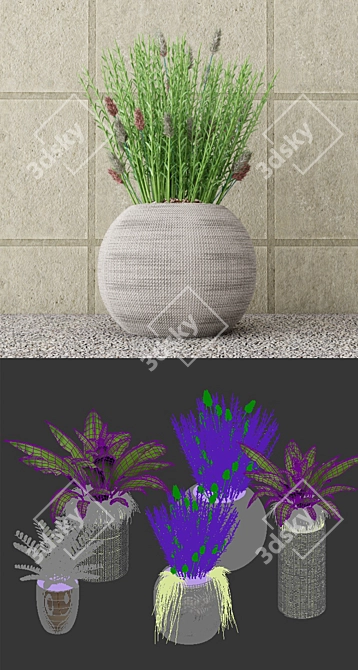 Botanical Bundle: Outdoor Plant Set 3D model image 3