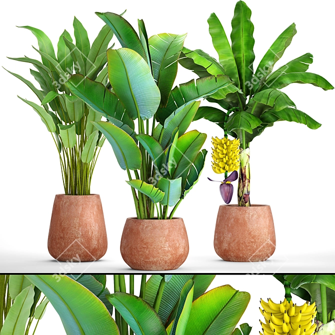 Tropical Plant Combo: Ravenala & Banana 3D model image 1