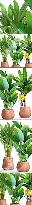 Tropical Plant Combo: Ravenala & Banana 3D model image 2