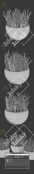 Title: Spherical Potted Plants Set 3D model image 2