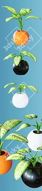 Tropical Room Plant Set 3D model image 3