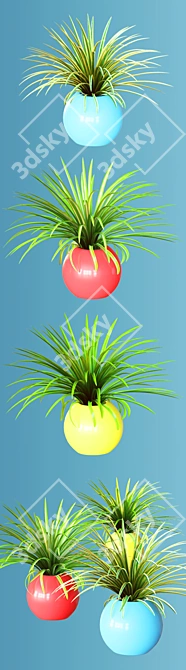 Realistic Home Plant Variety in Colorful Spheres 3D model image 3