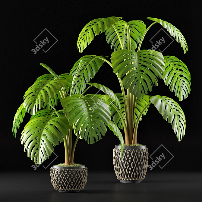 Tropical Delight: Monstera Leaf 3D model image 1