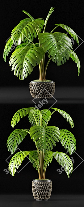 Tropical Delight: Monstera Leaf 3D model image 2